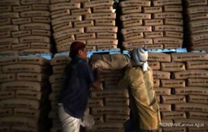 Semen Indonesia (SMGR) Bagikan Dividen Rp 96,21 Per Saham, Jangan Lewatkan Tanggalnya!