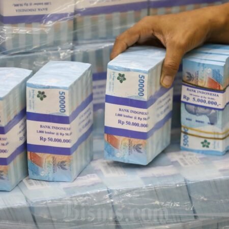 OPINI: Ketika Efisiensi Anggaran Bertabrakan dengan Realita