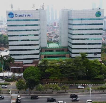 Barito Pacific (BRPT) Capai Laba Bersih US$ 774 Juta, Naik Signifikan 25% di Kuartal I-2025