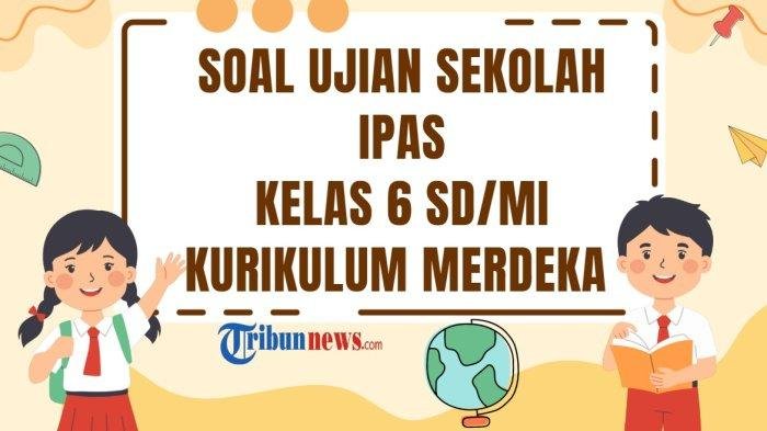 70 Pertanyaan Ujian IPAS Kelas 6: Jawaban dan Tips Merawat Organ Pernapasan Anda